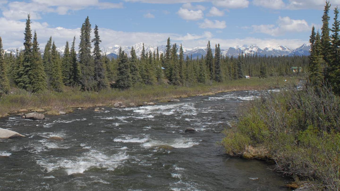 Brushkana Creek Campground, Delta Wild and Scenic River - Recreation.gov