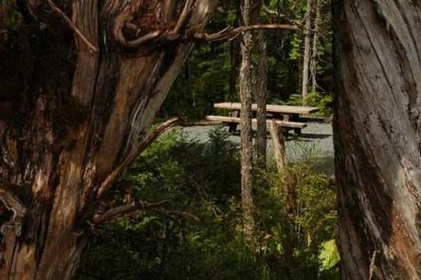 Harris River Campground, Tongass National Forest - Recreation.gov