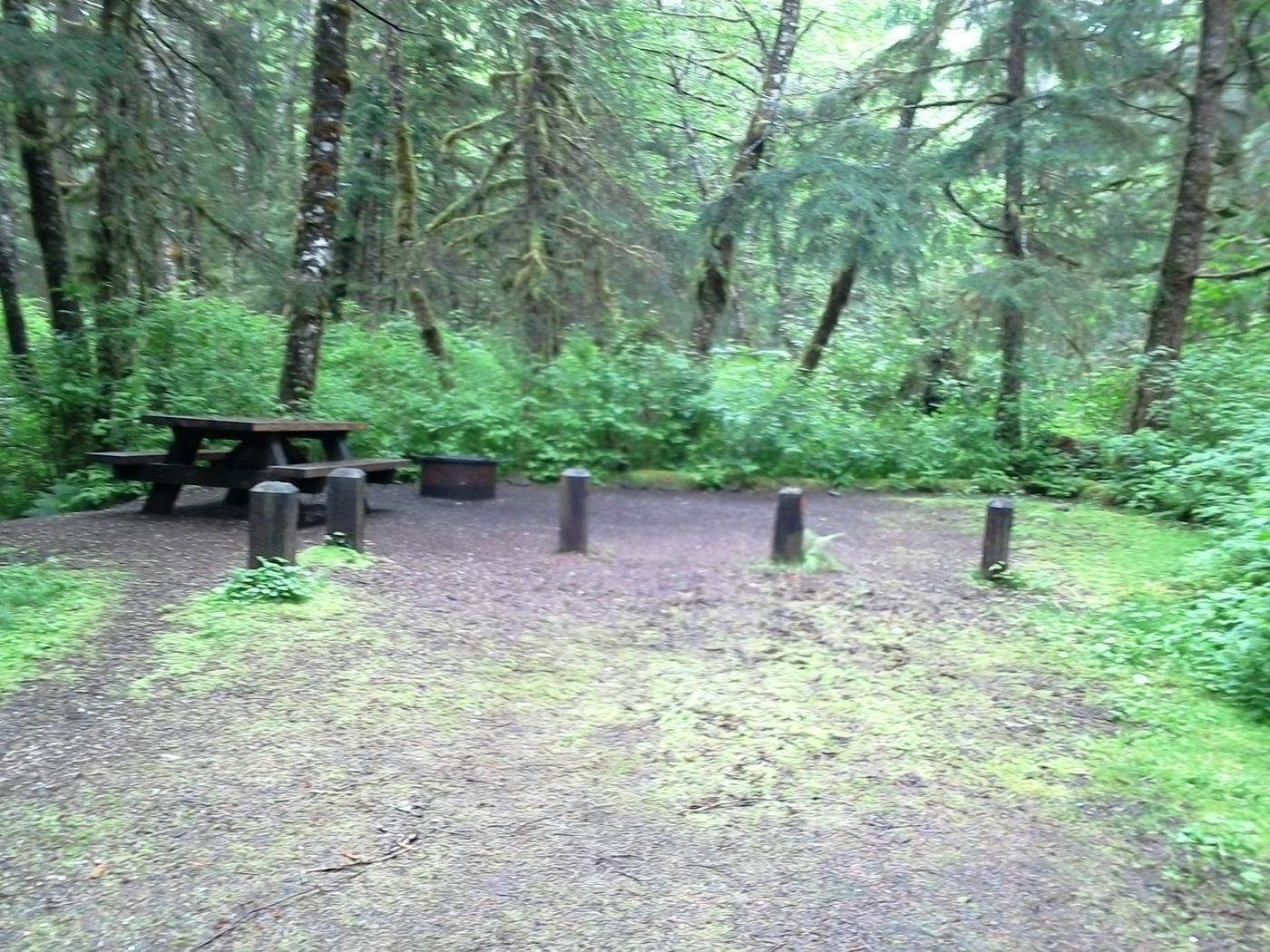 Site 006, Last Chance Campground - Recreation.gov
