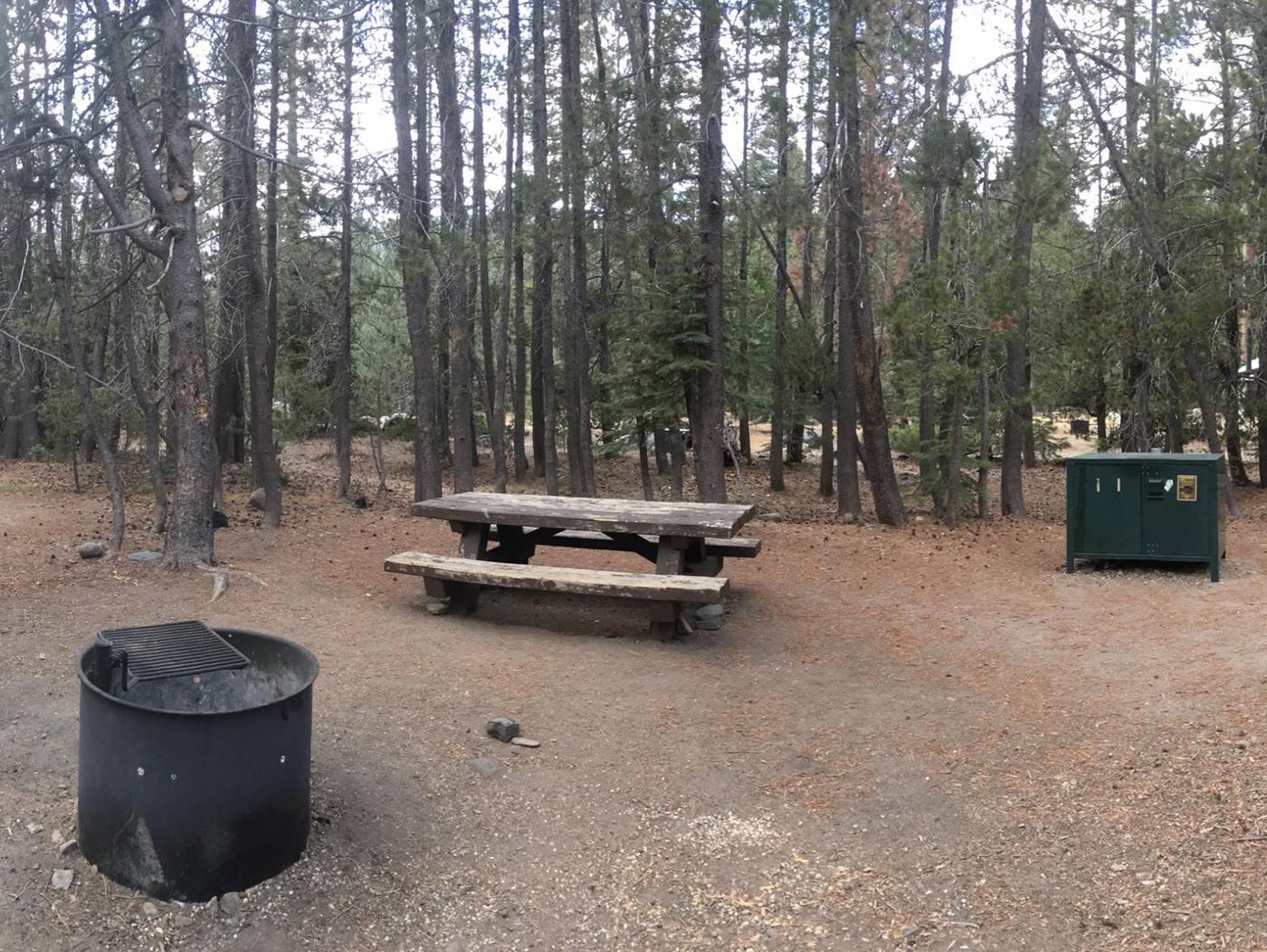 Site 8, Ahart Campground - Recreation.gov
