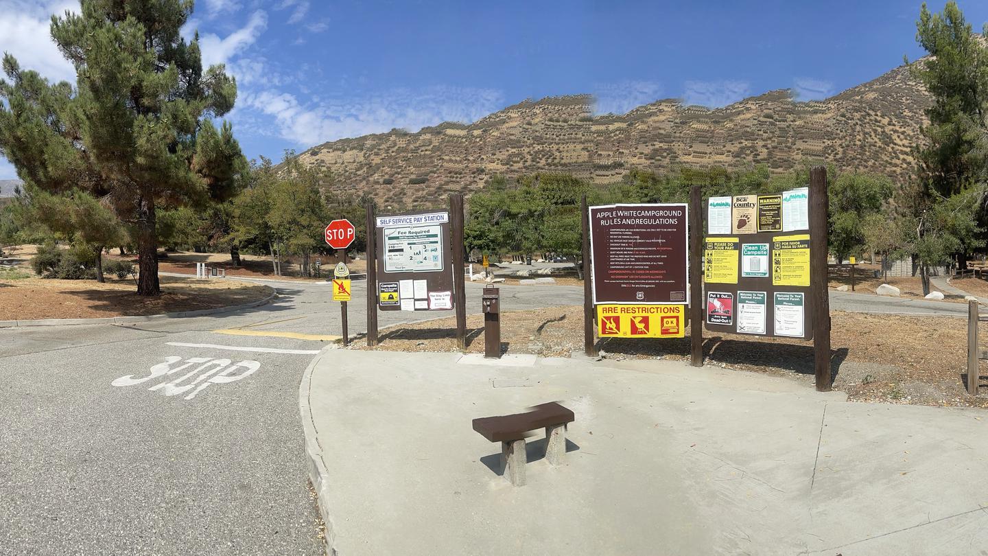 Applewhite Campground (CA), San Bernardino National Forest - Recreation.gov