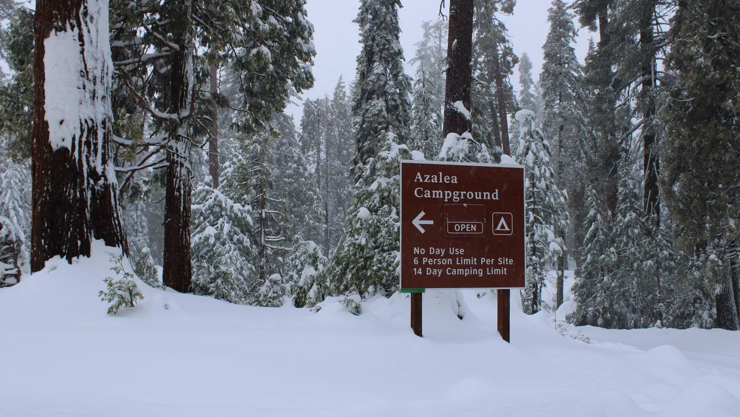 Azalea Campground, Sequoia & Kings Canyon National Parks - Recreation.gov
