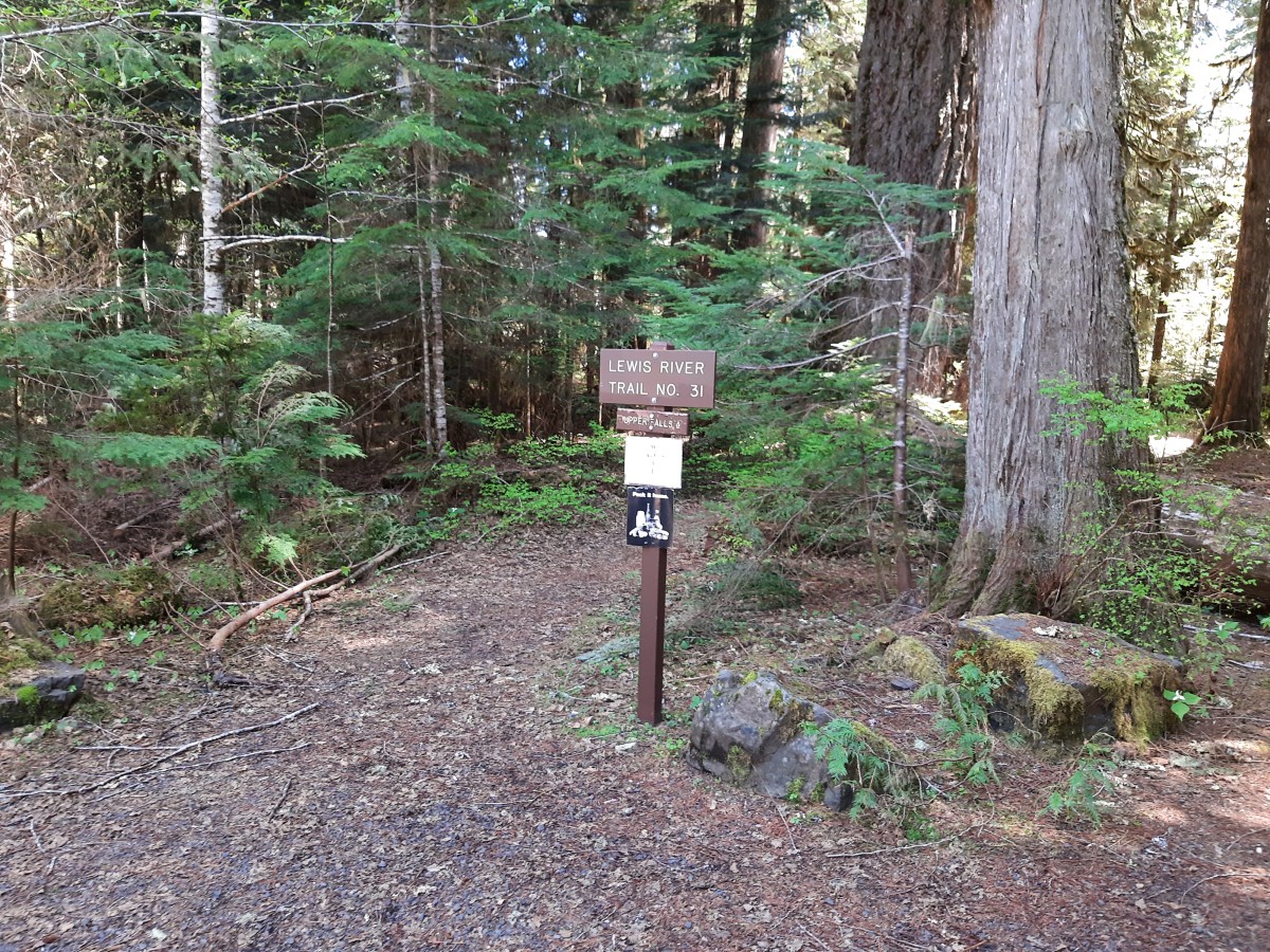 Gifford Pinchot National Forest | Trailhead: Upper Falls/Quartz Creek ...