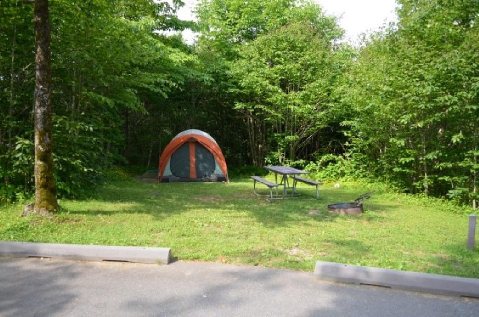 Site 39, Balsam Mountain Campground - Recreation.gov