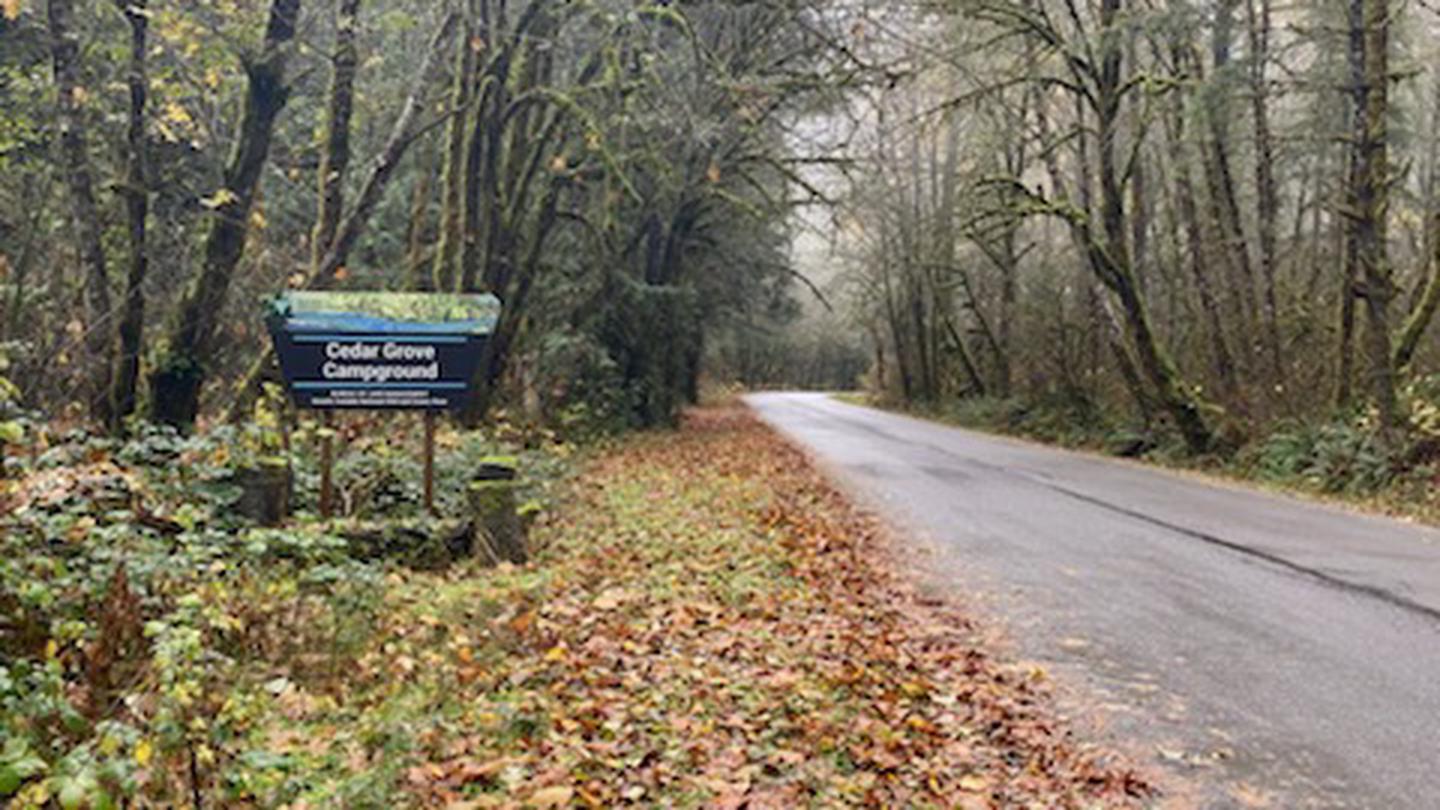 Cedar Grove Campground, Molalla - Recreation.gov