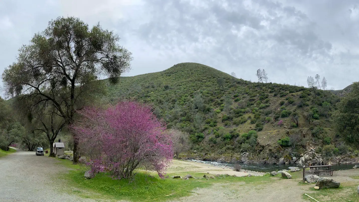 McCabe Flat Campground - | Bureau of Land Management