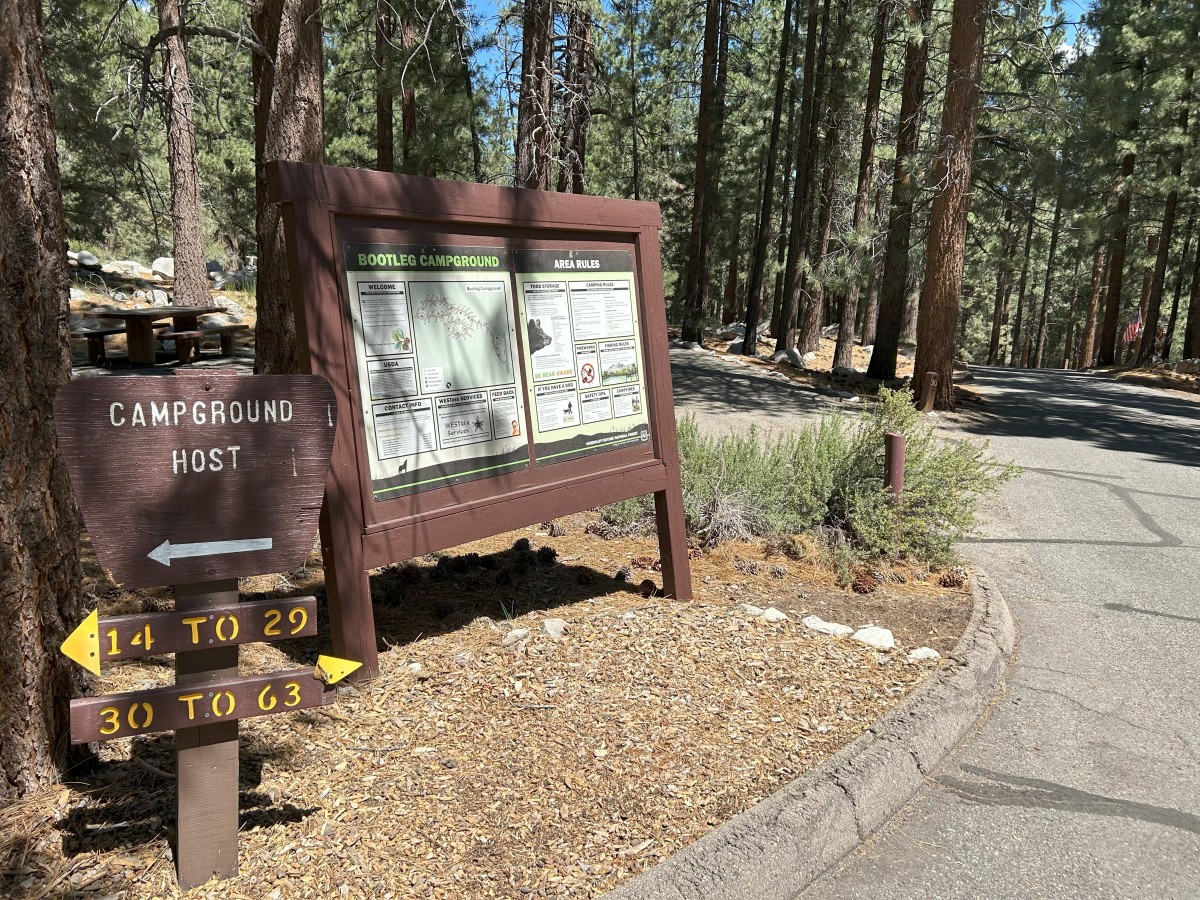 Humboldt-Toiyabe National Forest | Bootleg Campground | Forest Service