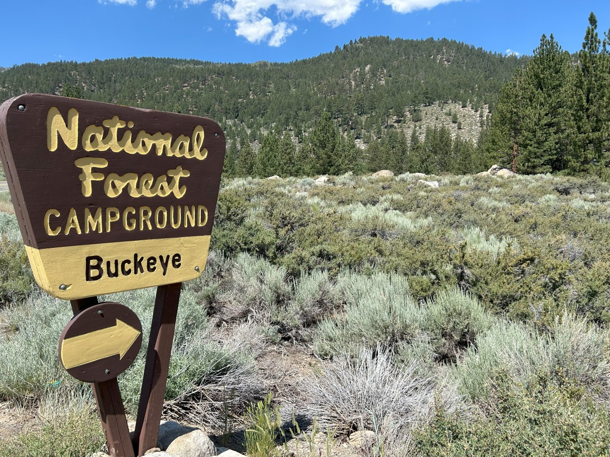 Humboldt-Toiyabe National Forest | Buckeye Campground | Forest Service