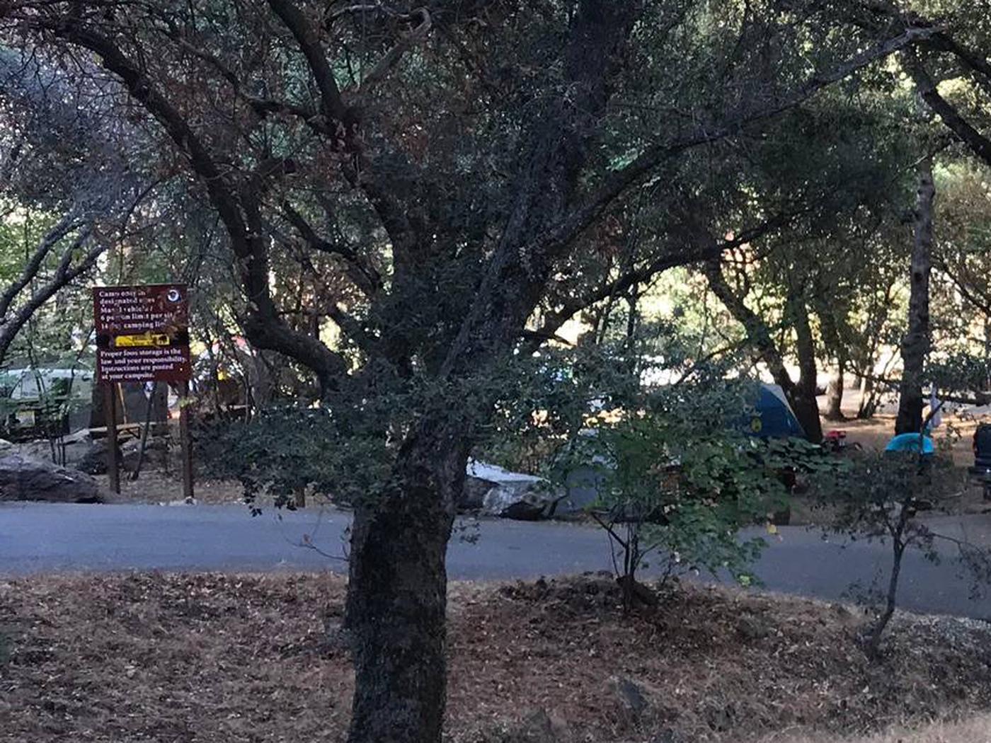 Buckeye Flat Campground, Sequoia & Kings Canyon National Parks ...