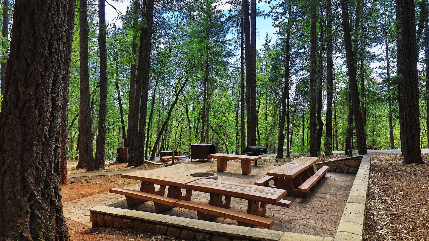 Bushytail, Shasta-Trinity National Forest - Recreation.gov