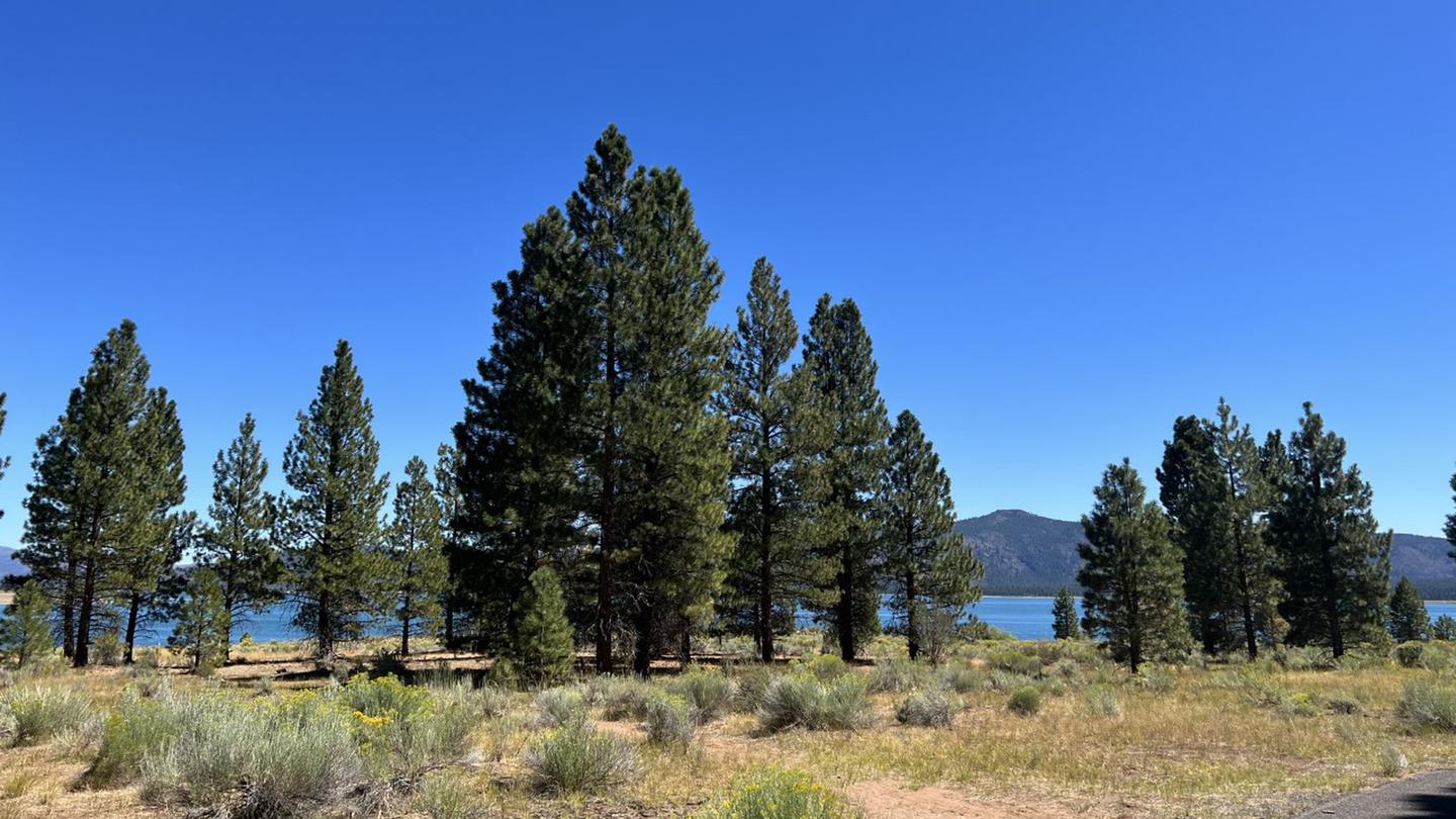 CamperEdge | Christie Campground