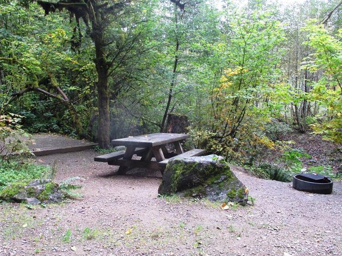 Escape To Serenity: Your Guide To Clear Creek Campground, Northern ...