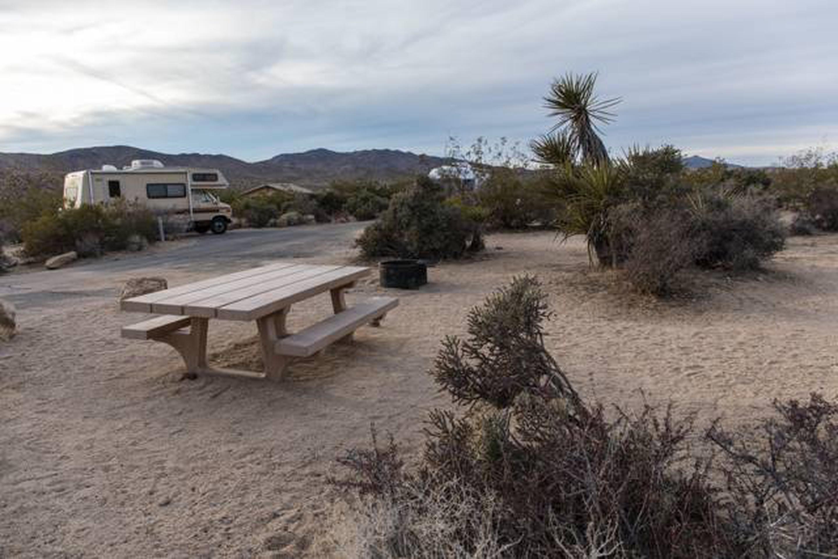 Site A17, Cottonwood Campground (CA) - Recreation.gov