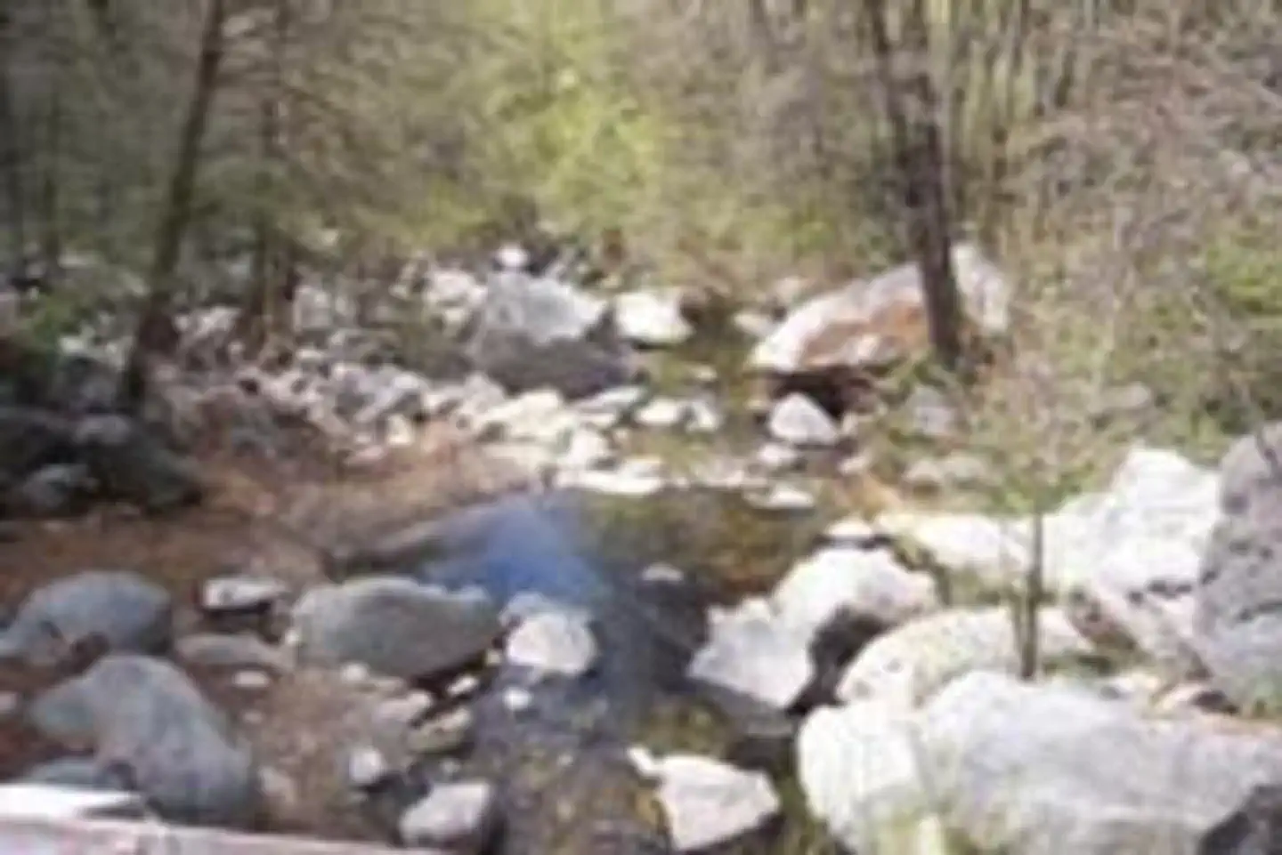 Coy Flat, Sequoia National Forest - Recreation.gov