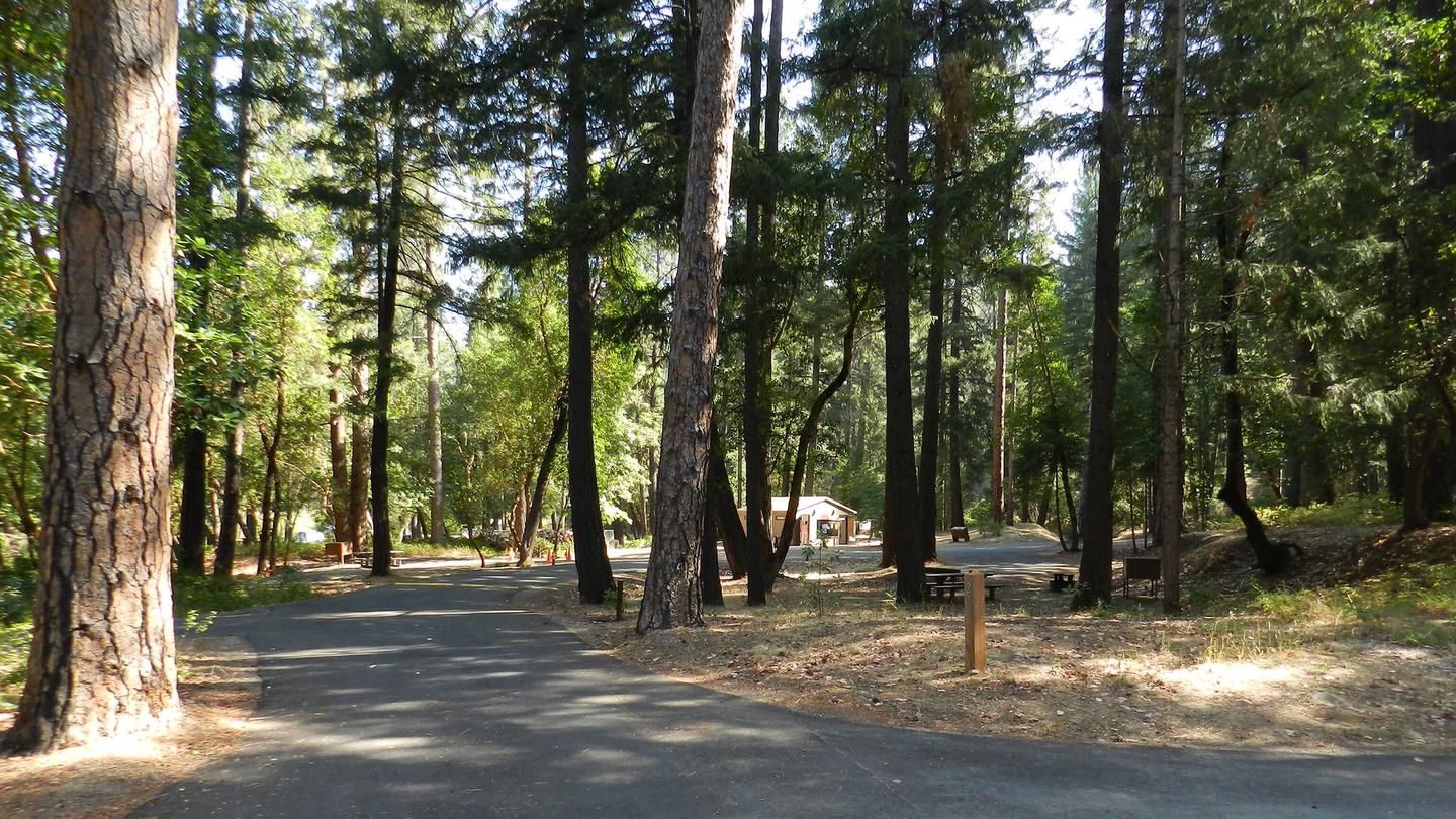 Douglas City Campground - California | Bureau of Land Management