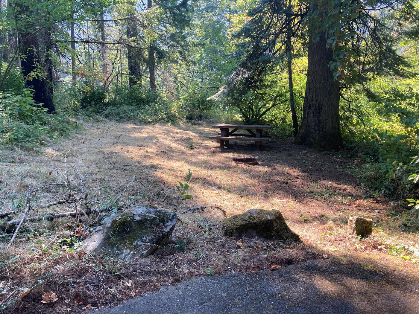 Site 03, Eagle Creek Campground - Recreation.gov