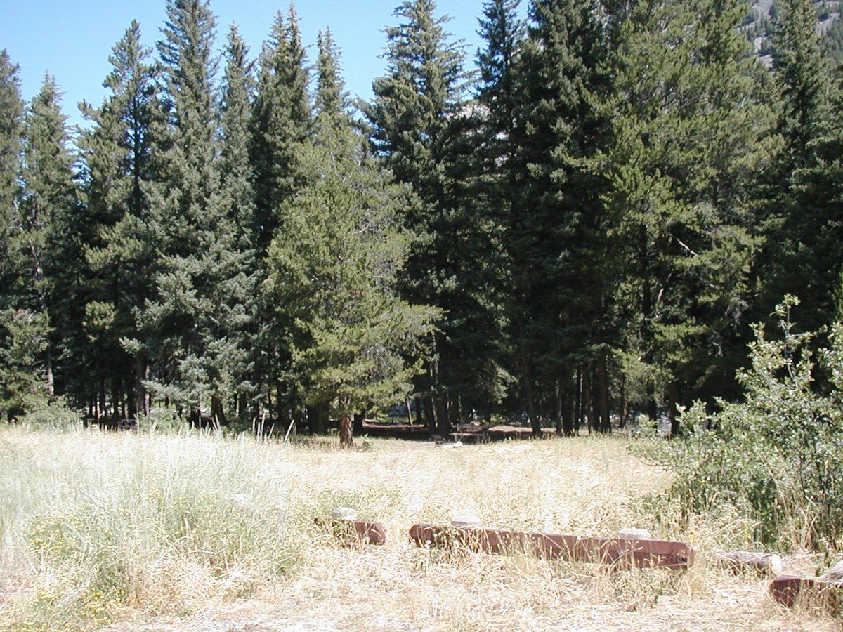 Custer Gallatin National Forest | Falls Creek Campground | Forest Service