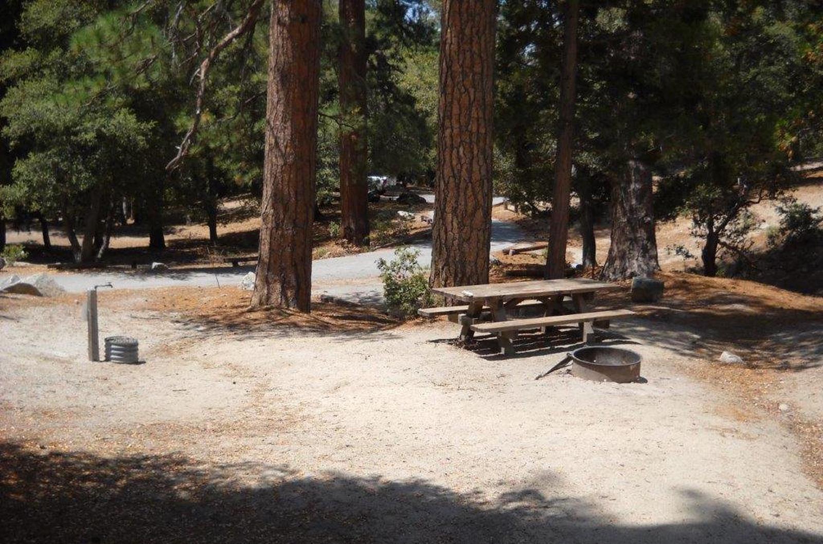 Site 004, Fern Basin - Recreation.gov
