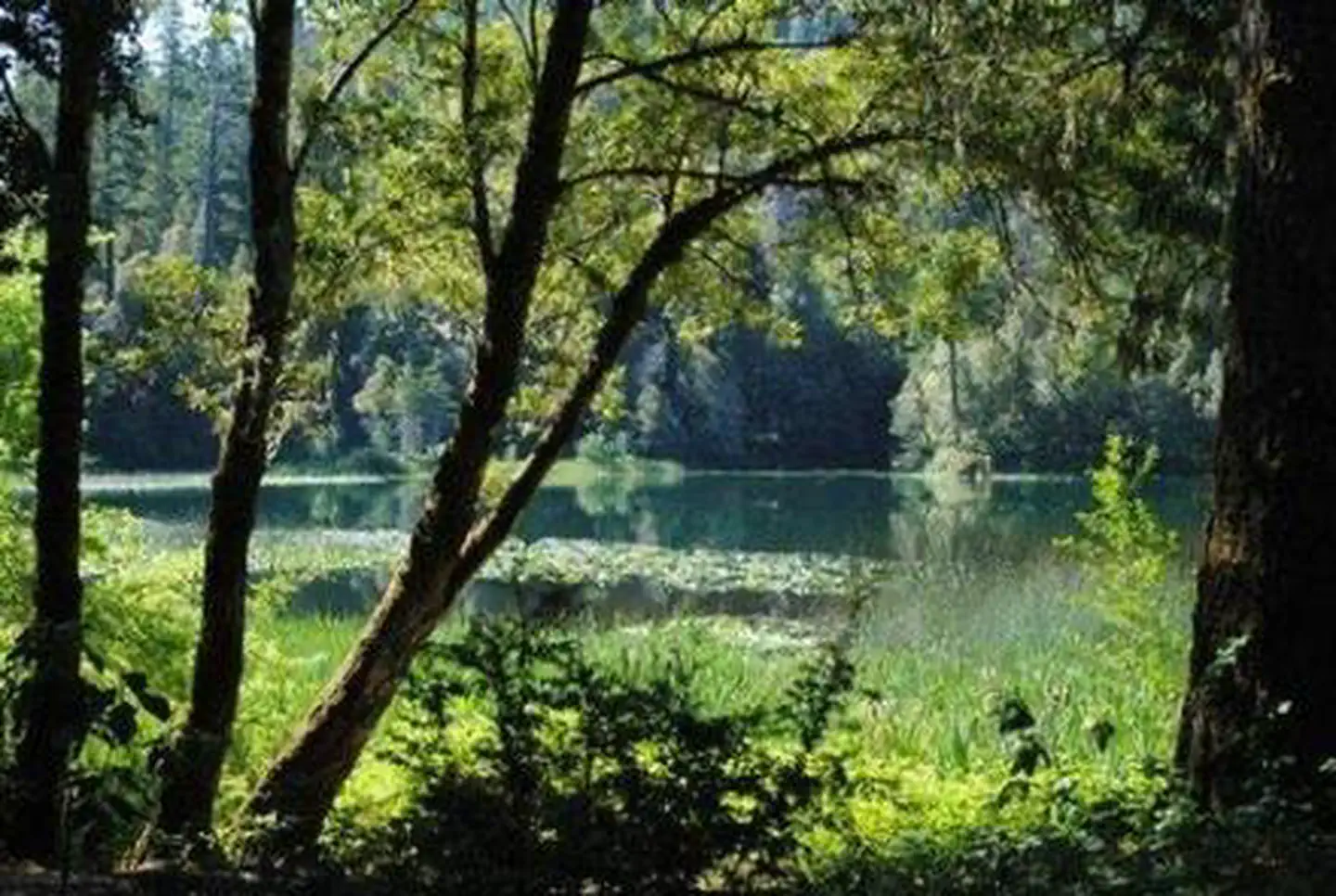 Fish Lake Campground, Six Rivers National Forest - Recreation.gov