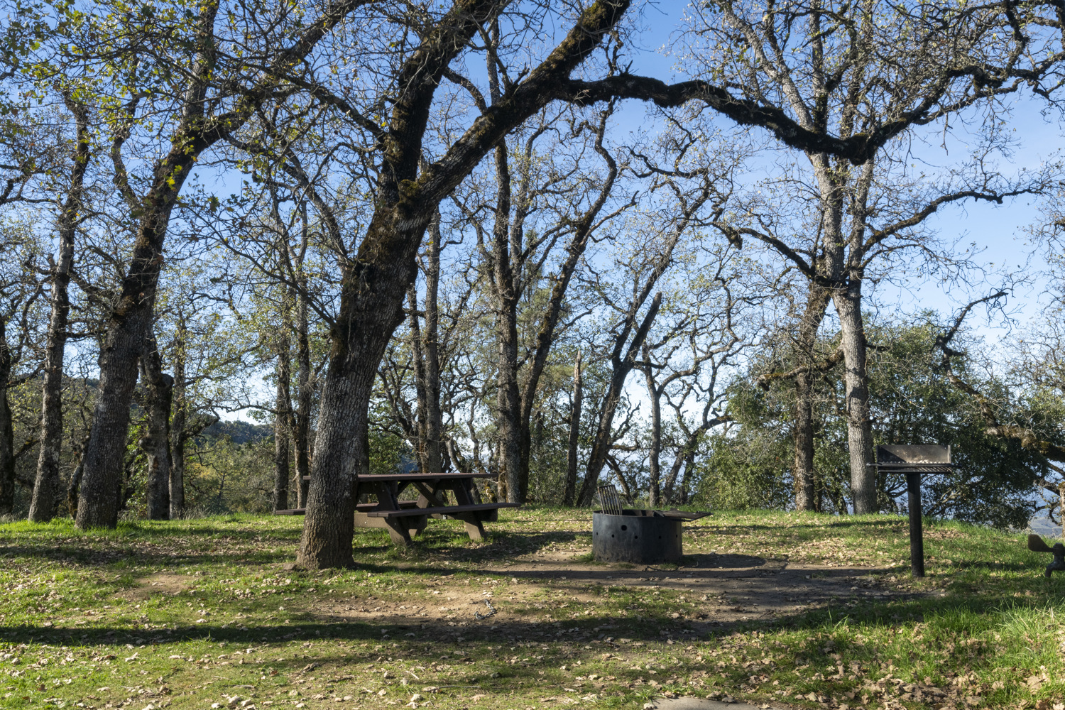 Fremont Peak State Park