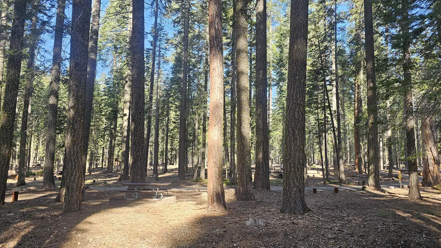 Gurnsey Creek, Lassen National Forest - Recreation.gov