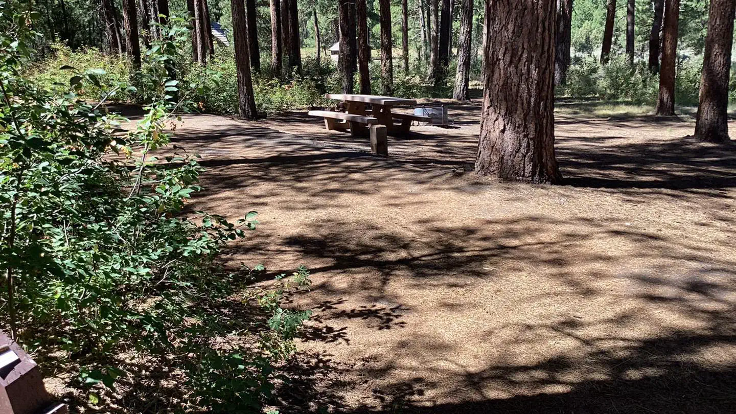 Idlewild Campground, Malheur National Forest - Recreation.gov