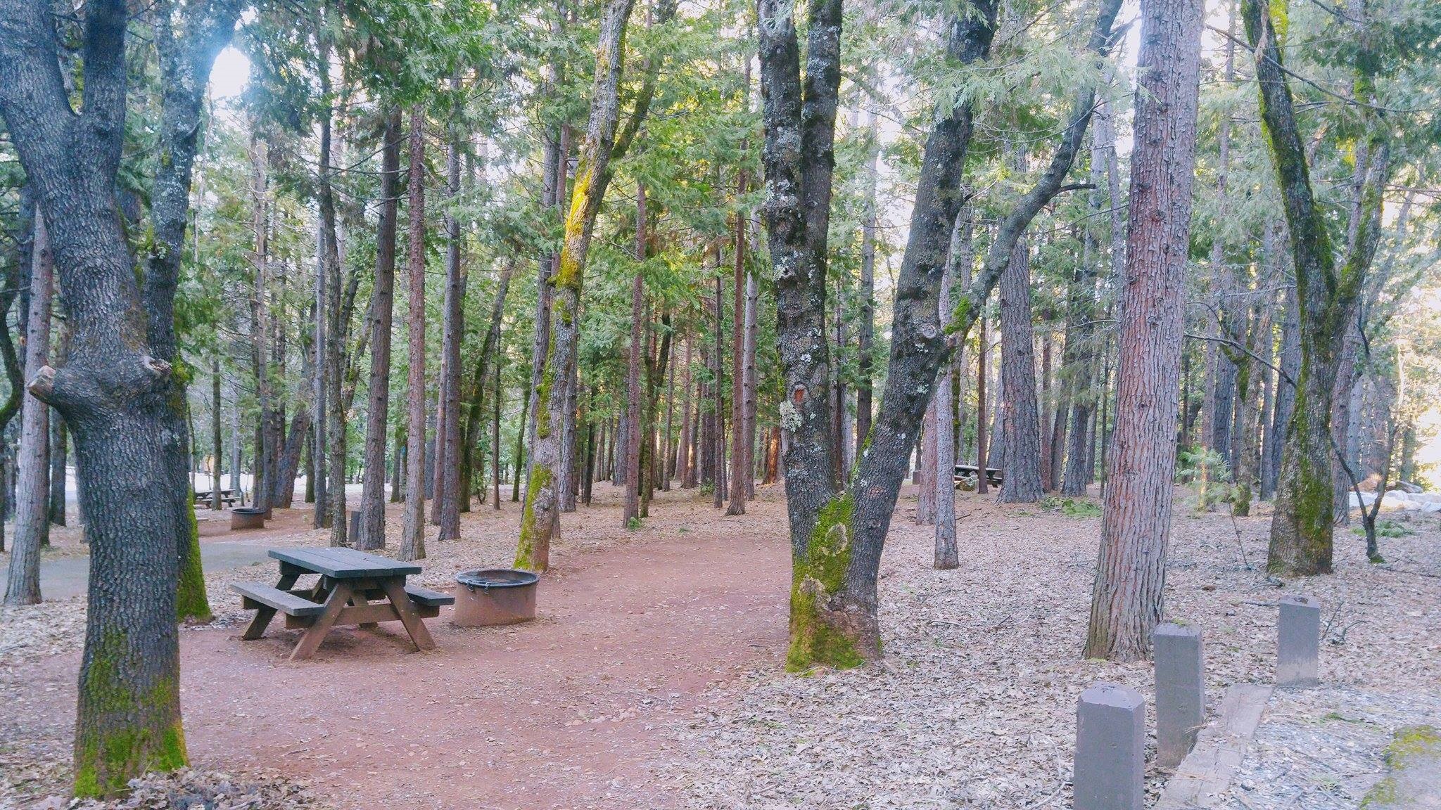 Camping at Indian Grinding Rock