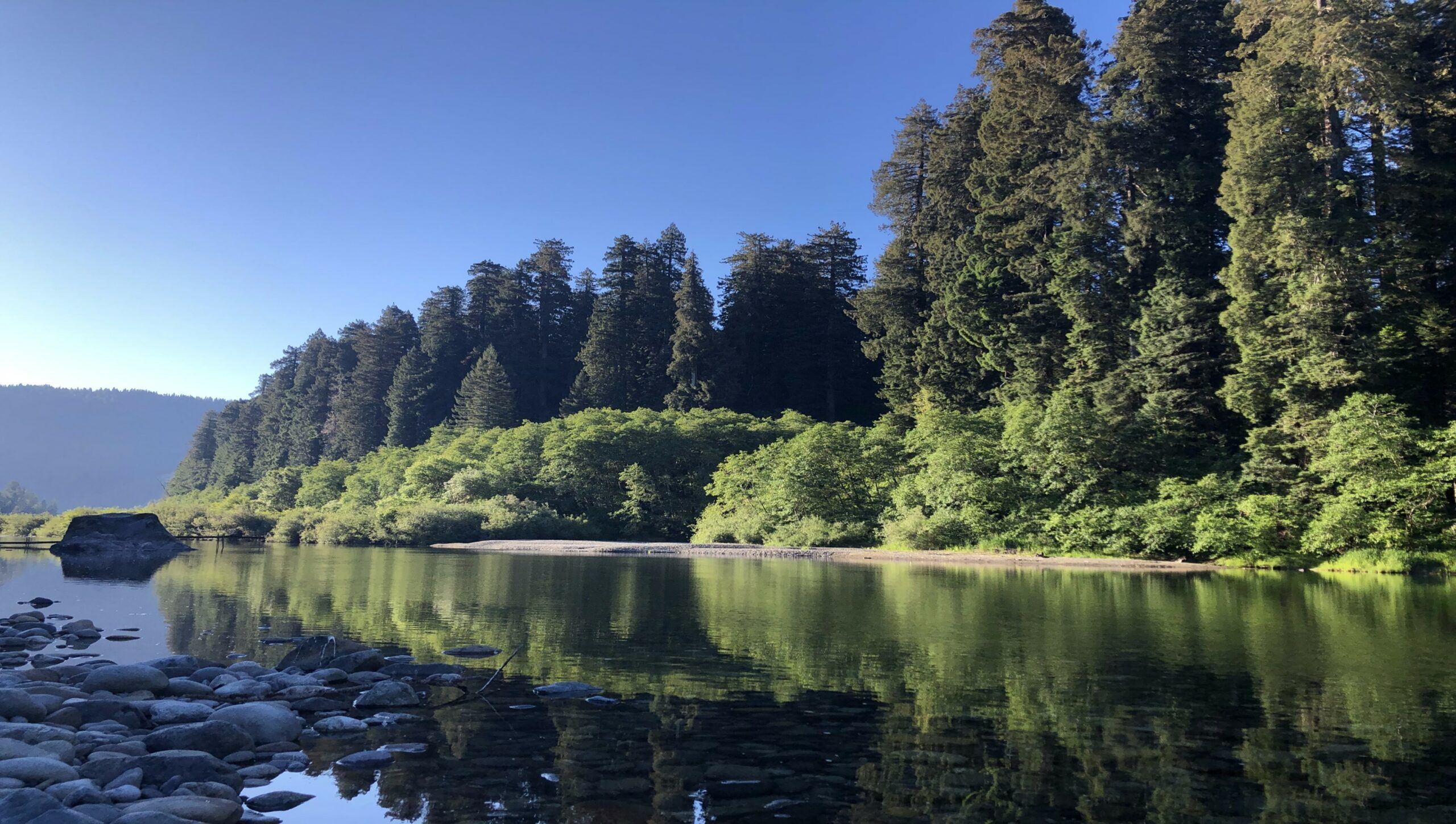 Jedediah Smith Redwoods State Park campground in Crescent City, CA