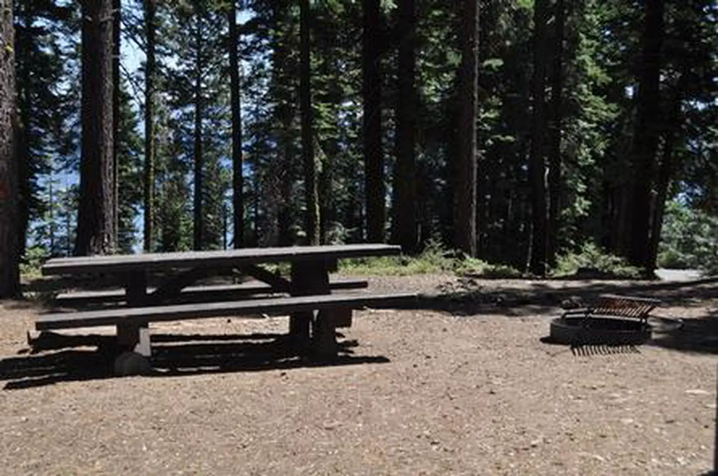 Kaspian Campground, Lake Tahoe Basin Management Unit - Recreation.gov