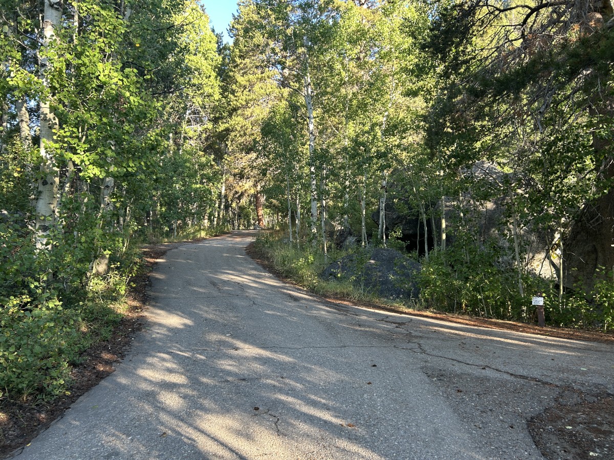 Humboldt-Toiyabe National Forest | Kit Carson Campground | Forest Service