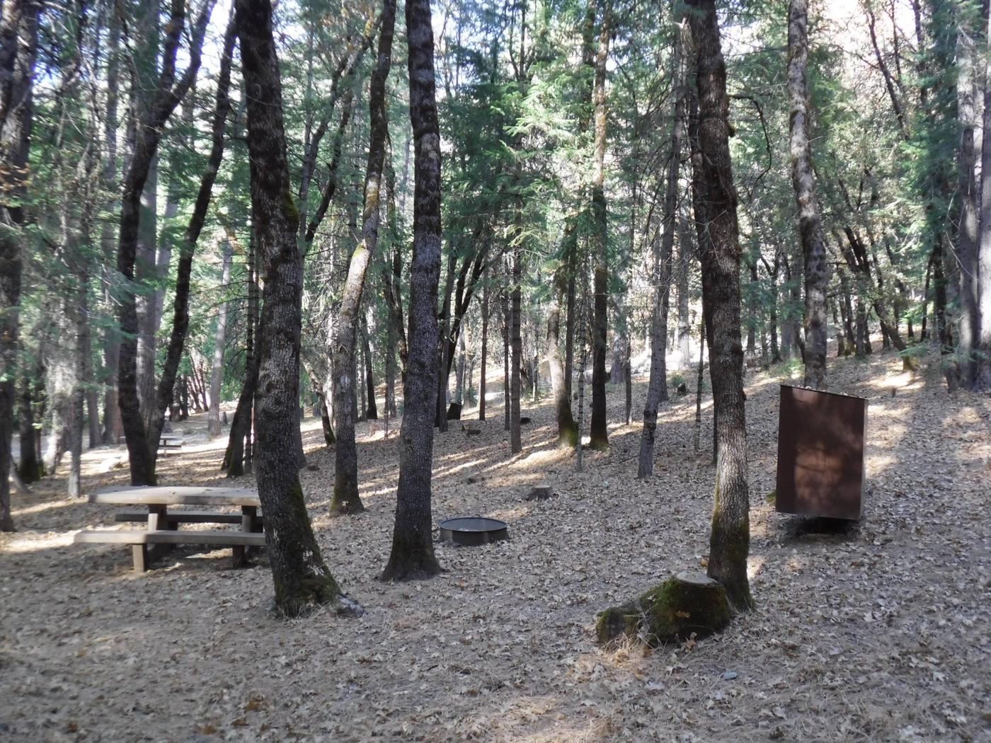 Escape To Loganville: Your Northern California Campground Adventure