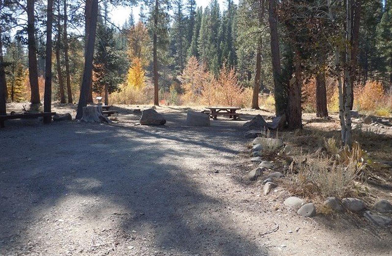 Site 010, Lower Little Truckee - Recreation.gov