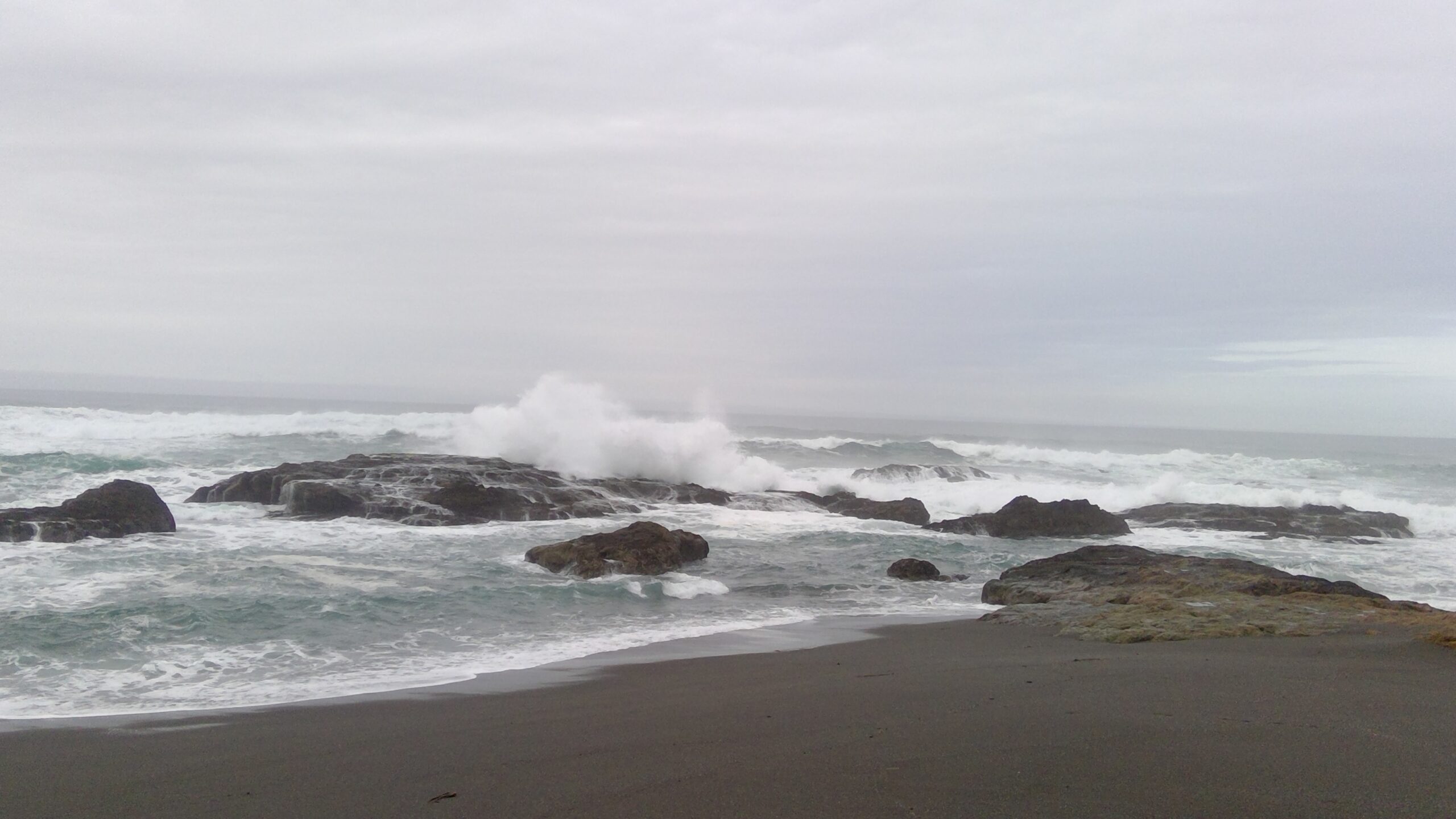 MacKerricher State Park campground in Mendocino County, CA