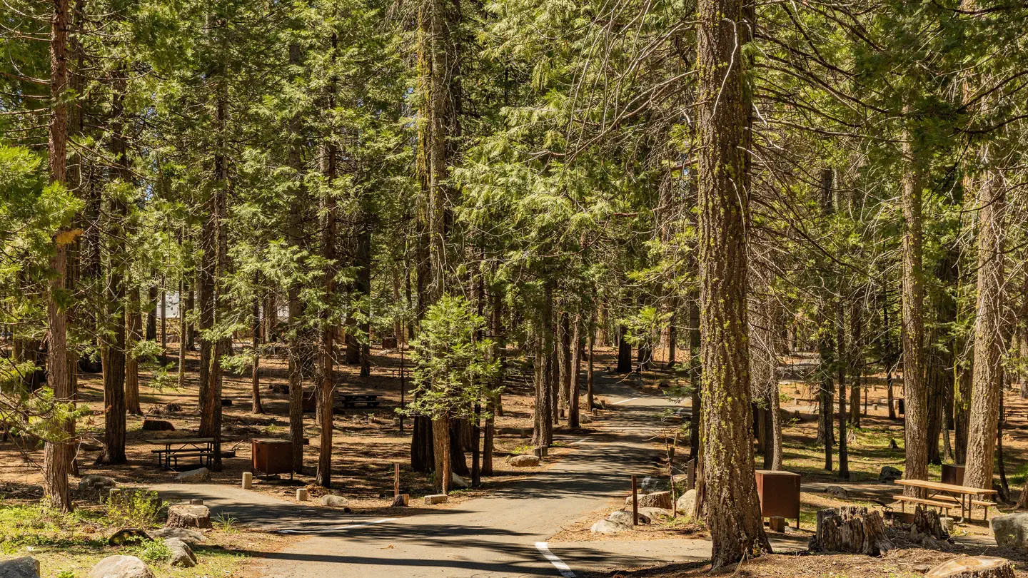 Meadowview Campground, Stanislaus National Forest - Recreation.gov