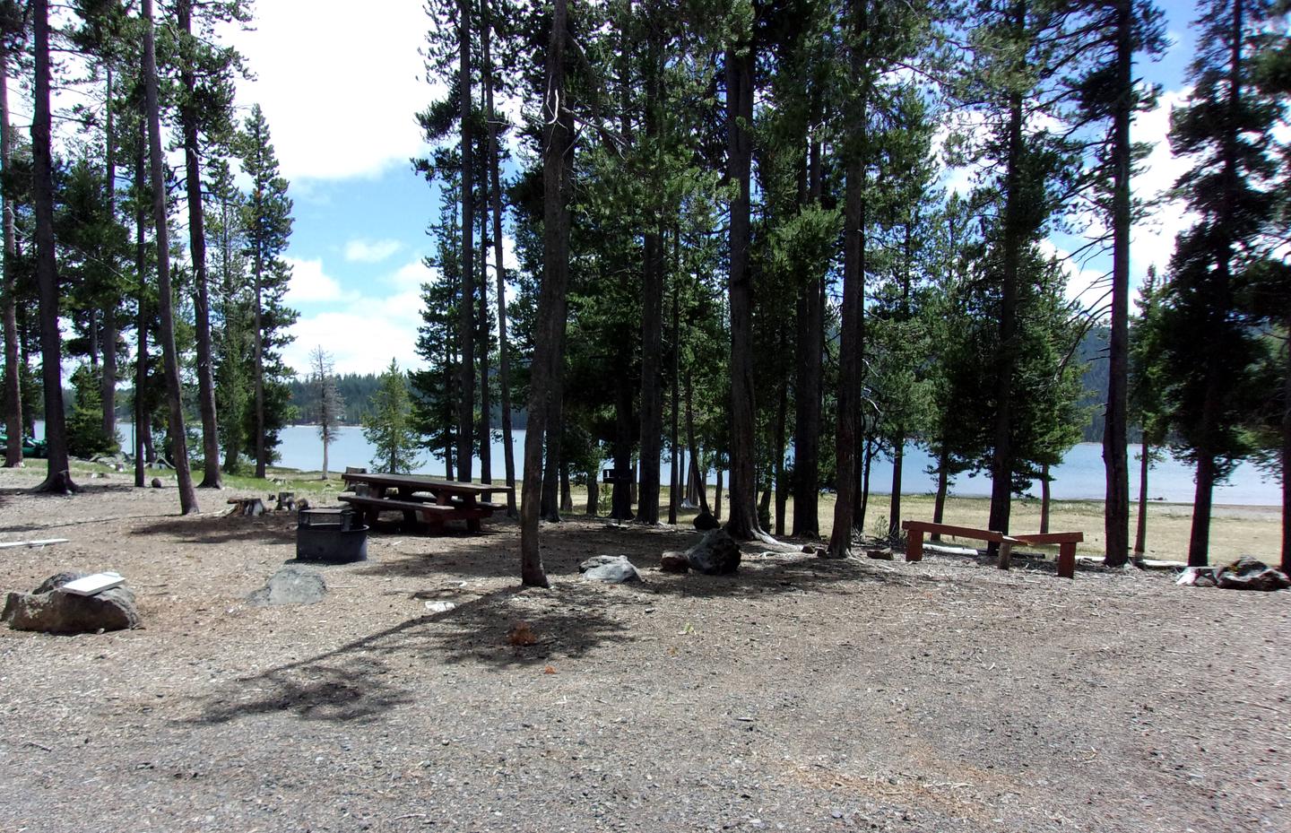 Site 015, Medicine Lake Recreation Area - Recreation.gov