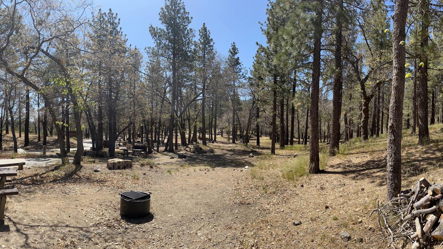 Mountain Oak, Angeles National Forest - Recreation.gov