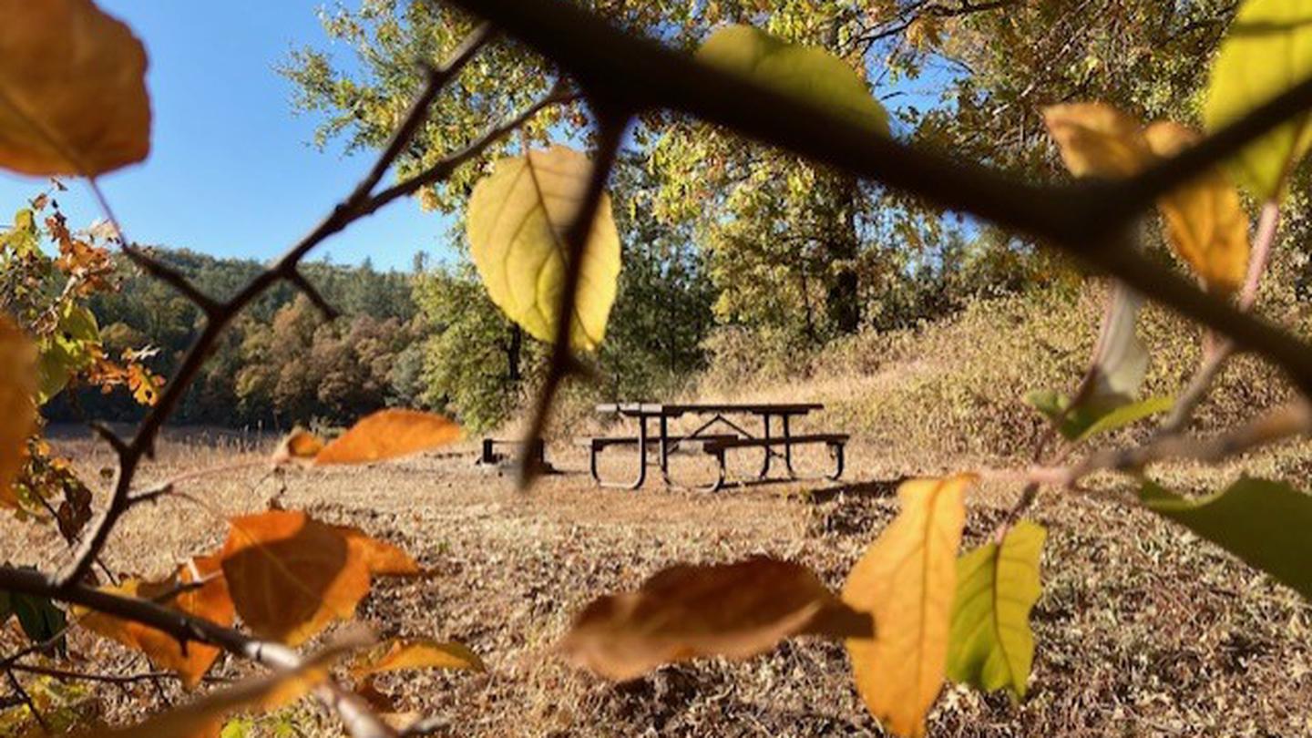Nelson Point, Shasta-Trinity National Forest - Recreation.gov