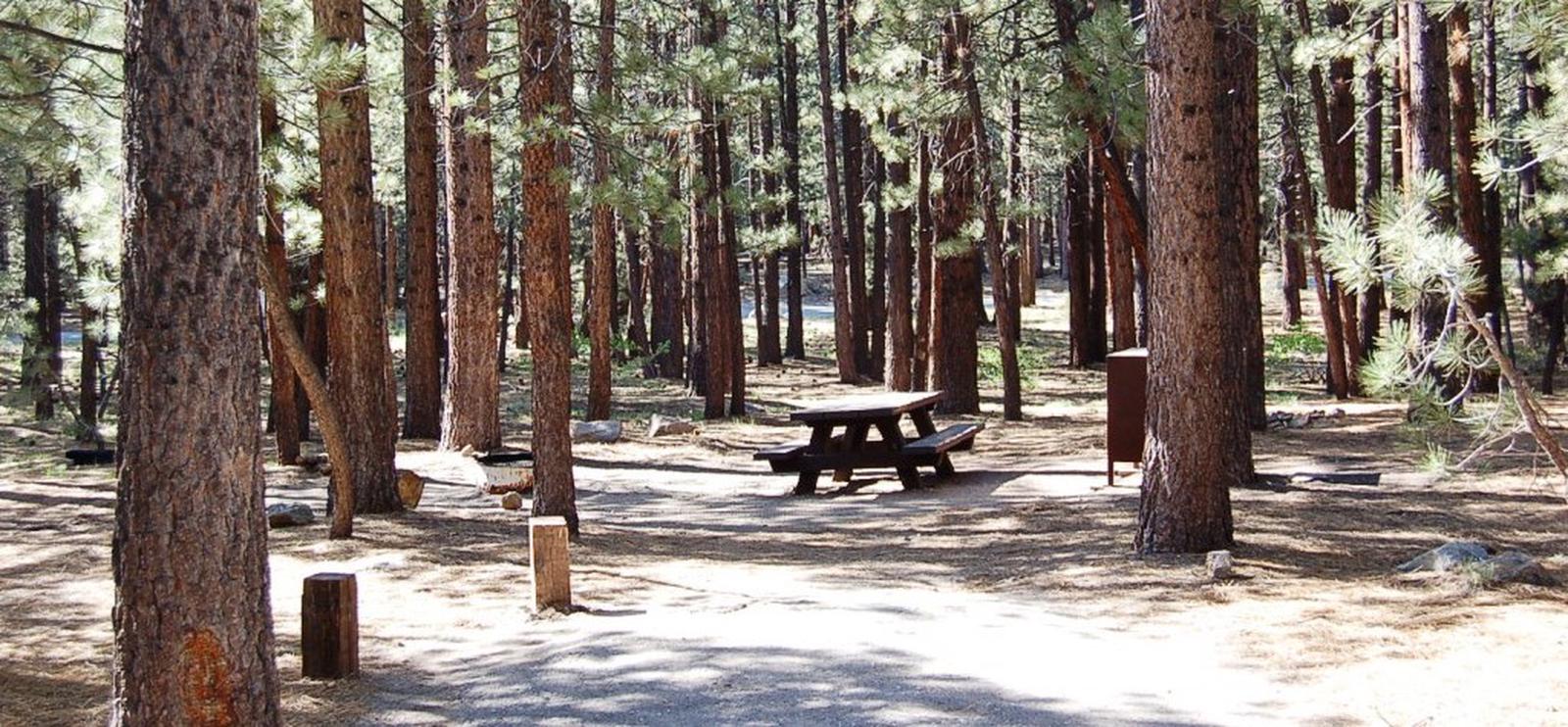 Old Shady Rest Campground in Mammoth Lakes, California.