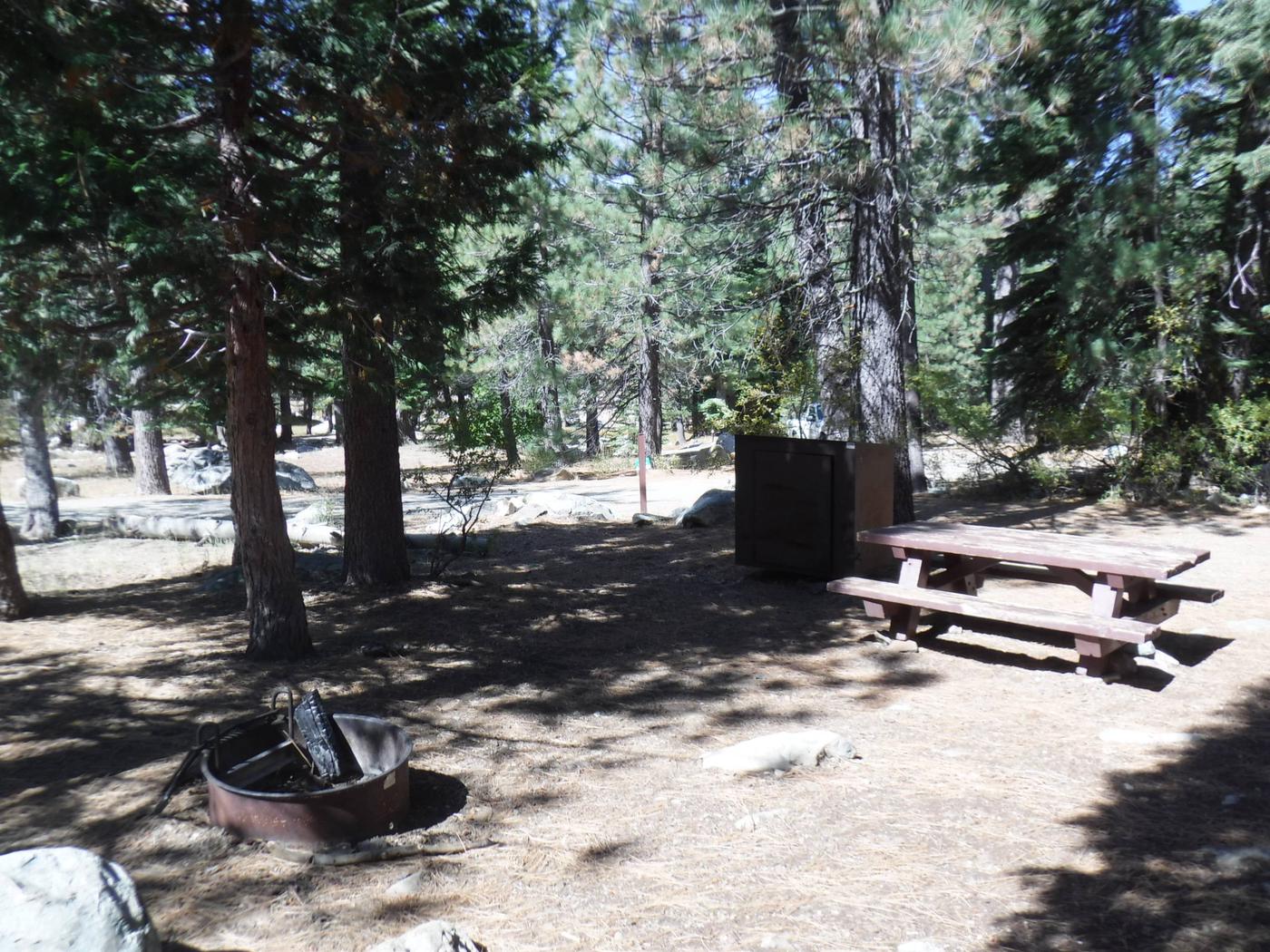 Site 011, Packsaddle - Recreation.gov