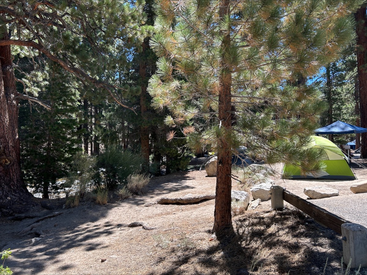 Humboldt-Toiyabe National Forest | Paha Campground | Forest Service