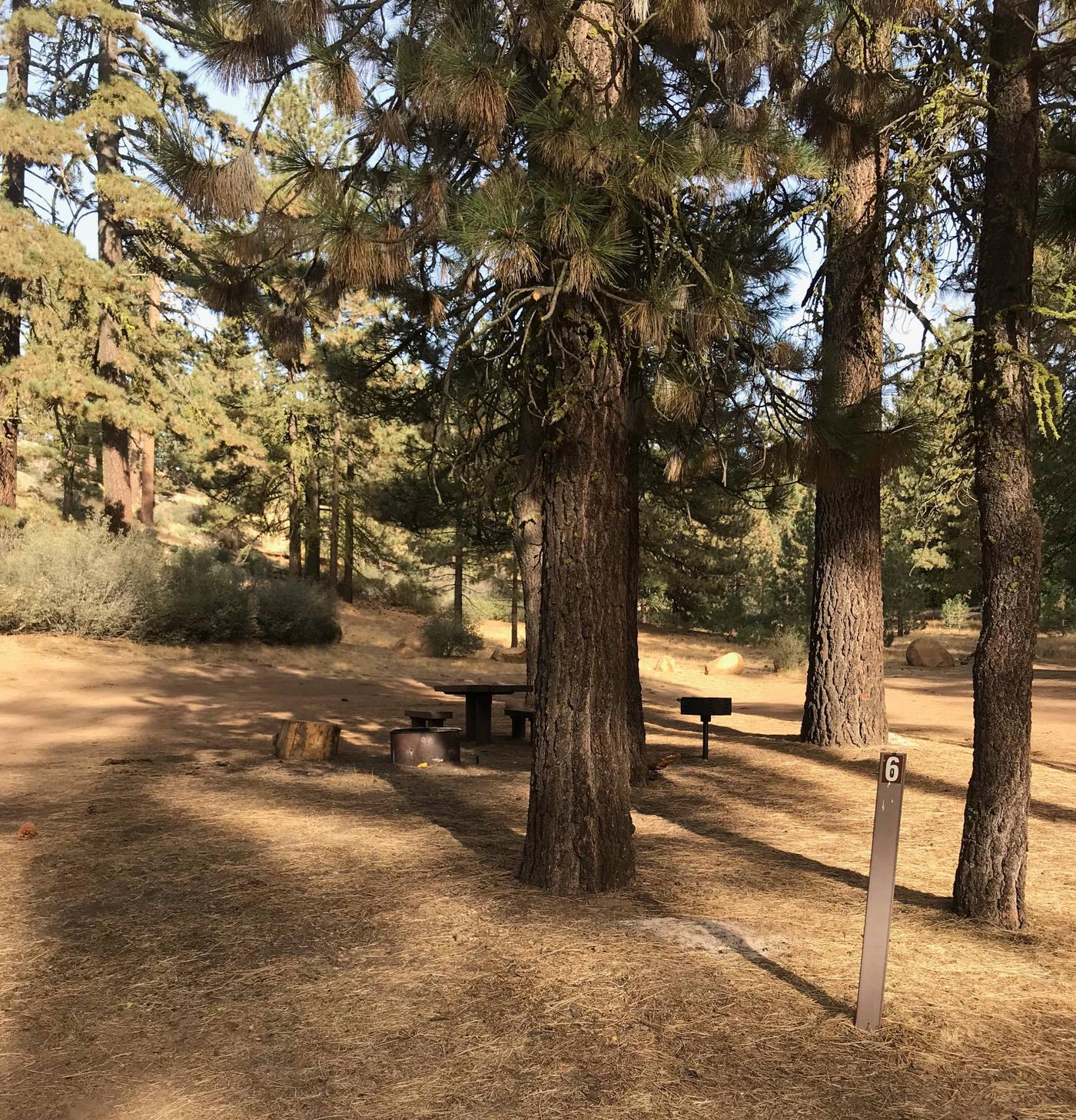 Site 06, Pine Mountain Campground - Recreation.gov
