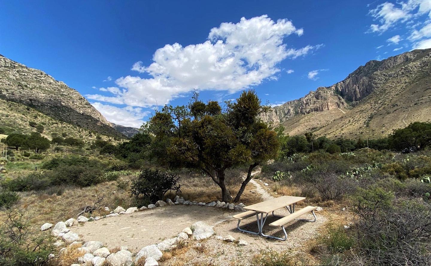 Site 1, Pine Springs Campground - Recreation.gov