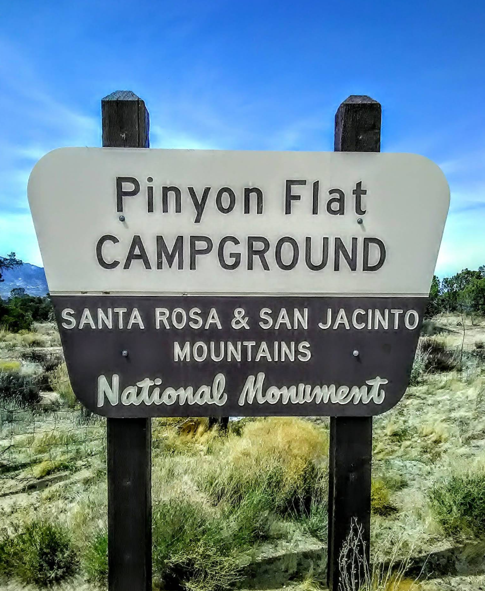 San Bernardino National Forest | Pinyon Flat Campground | Forest Service