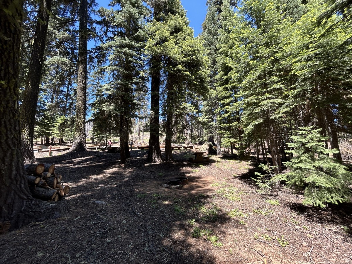 Mendocino National Forest | Plaskett Meadows Campground reopens June 27 ...