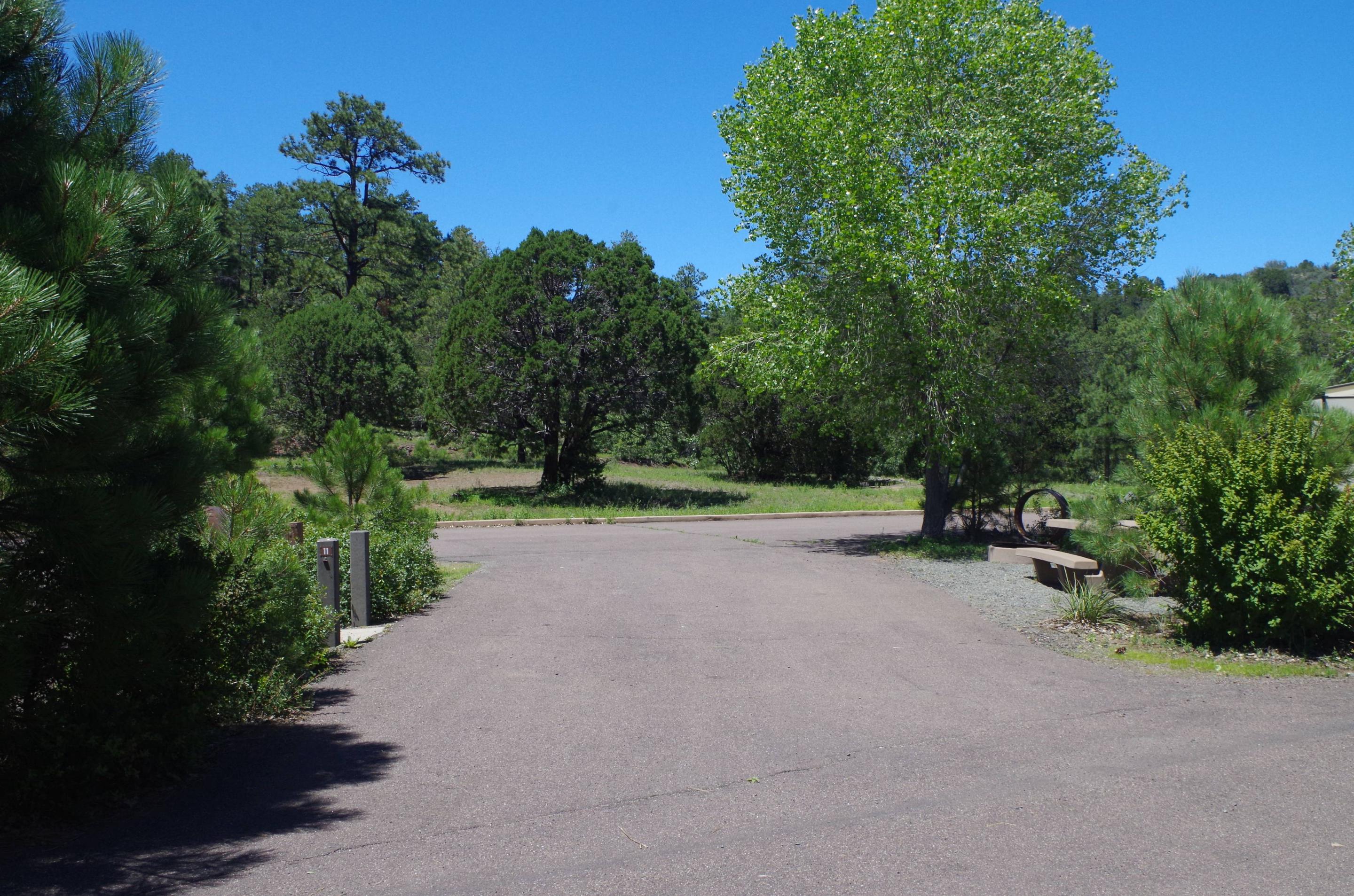 Site B11, Potato Patch Campground - Recreation.gov