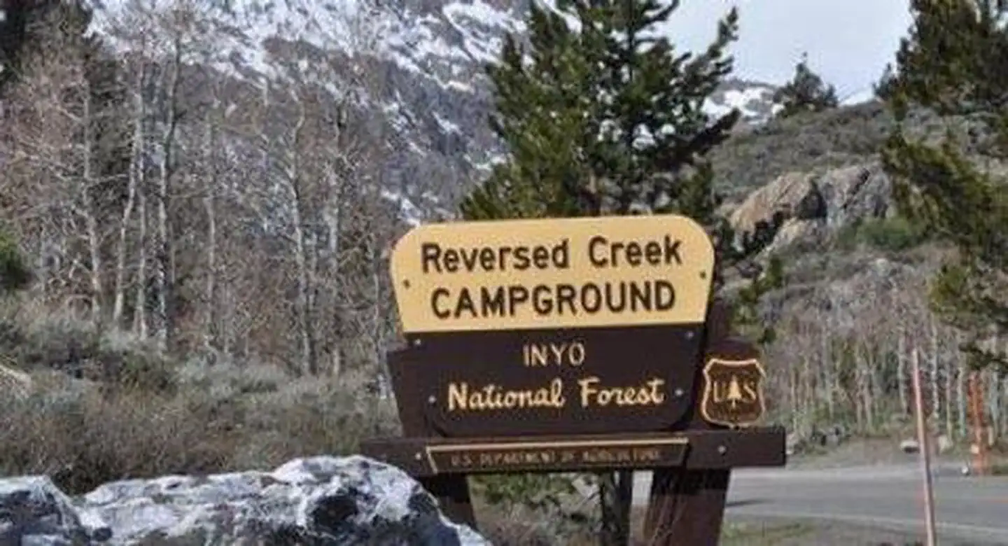 Reversed Creek Campground, Inyo National Forest - Recreation.gov