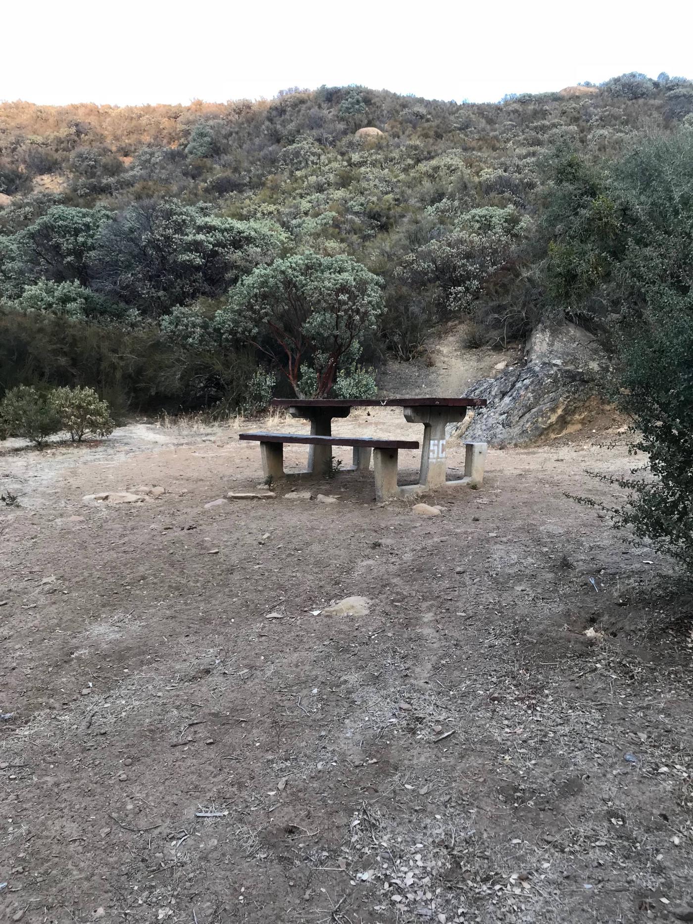 Site 05c, Reyes Creek Campground - Recreation.gov