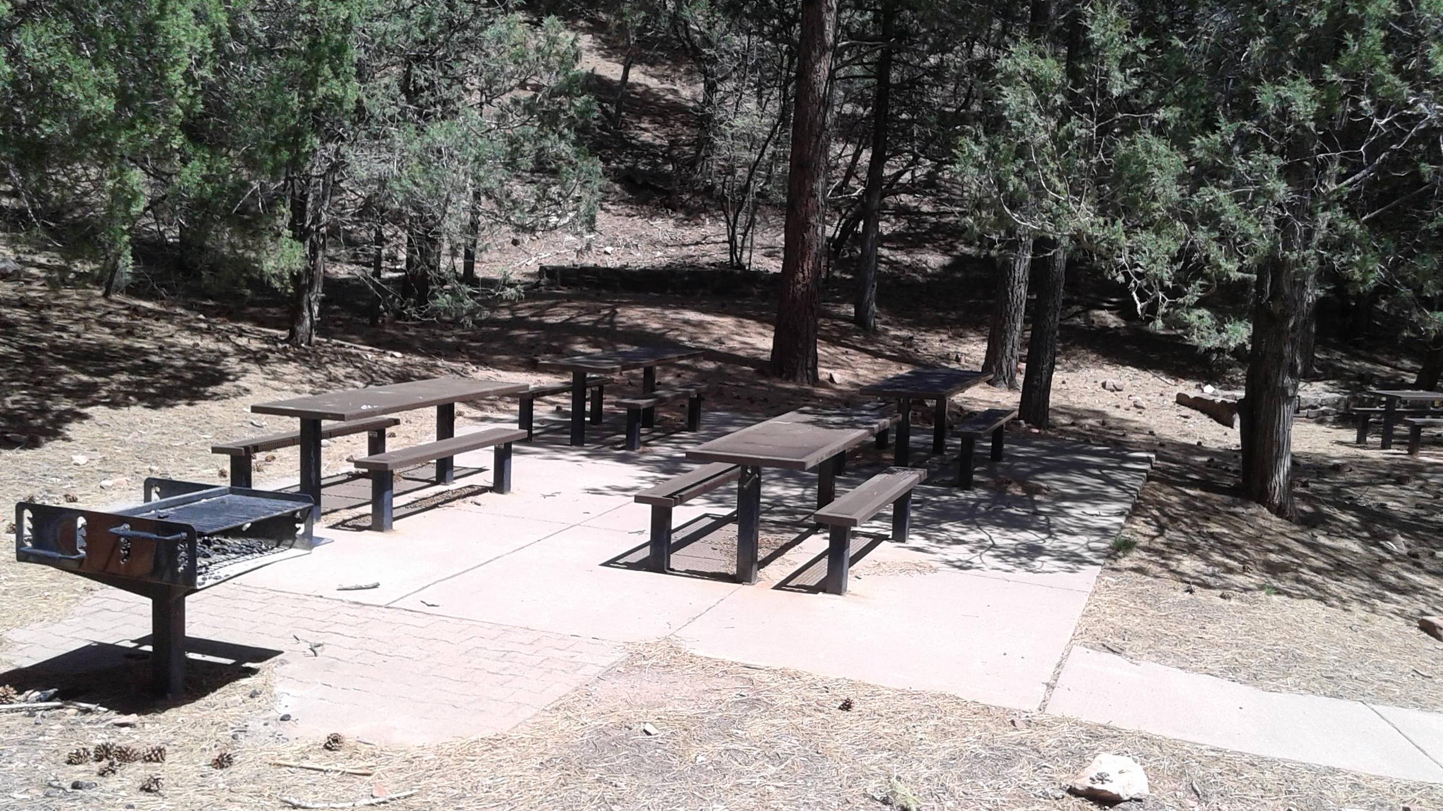 Campground | Cienega Picnic Site, Cibola National Forest And Grasslands ...