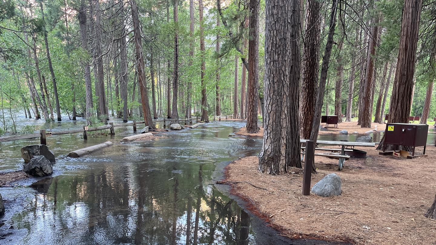 North Pines Campground | Camp Observer