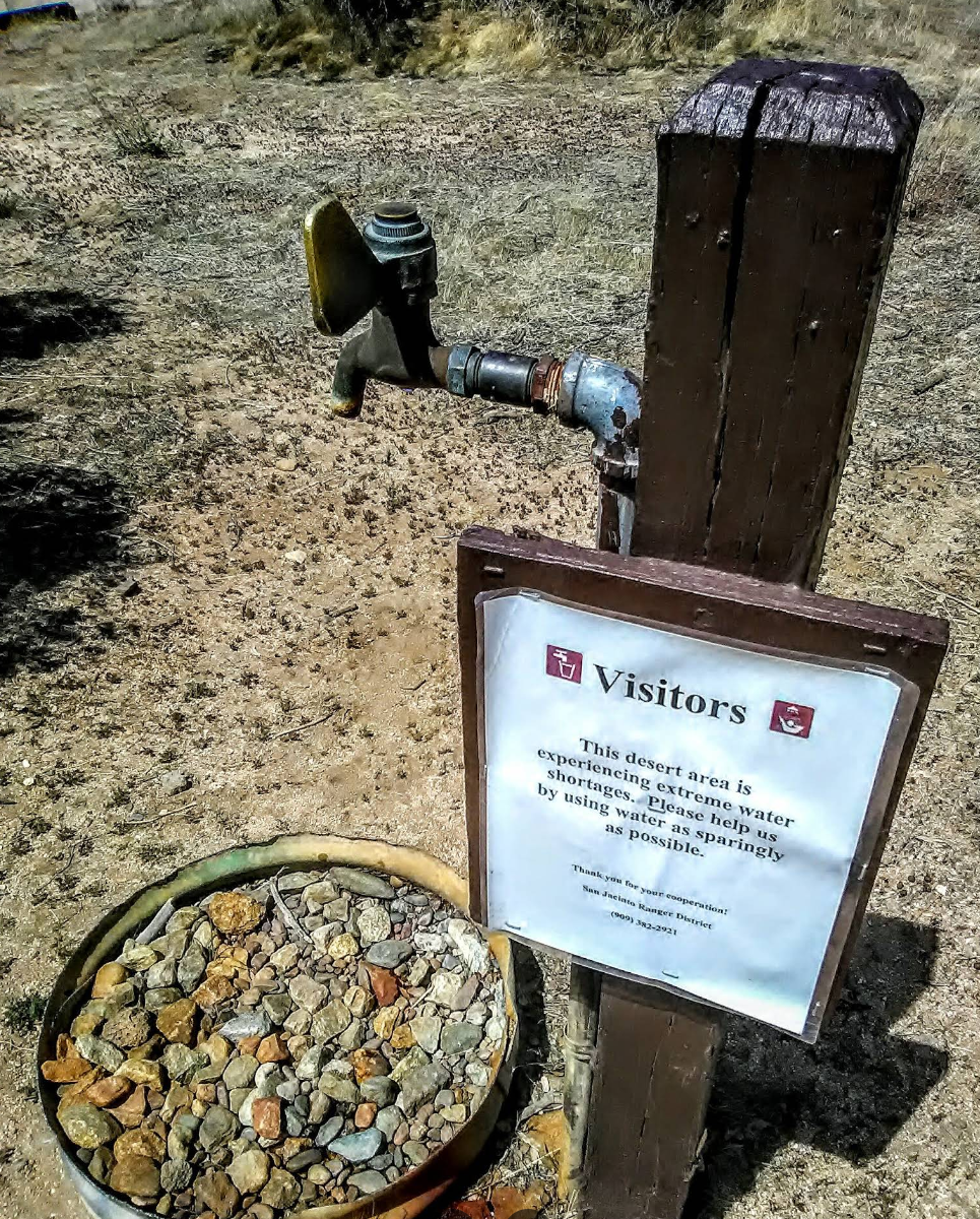 San Bernardino National Forest | Pinyon Flat Campground | Forest Service